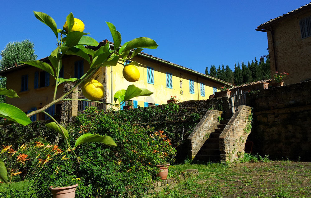 Bassetto Guesthouse & Apartments Черталдо Екстериор снимка