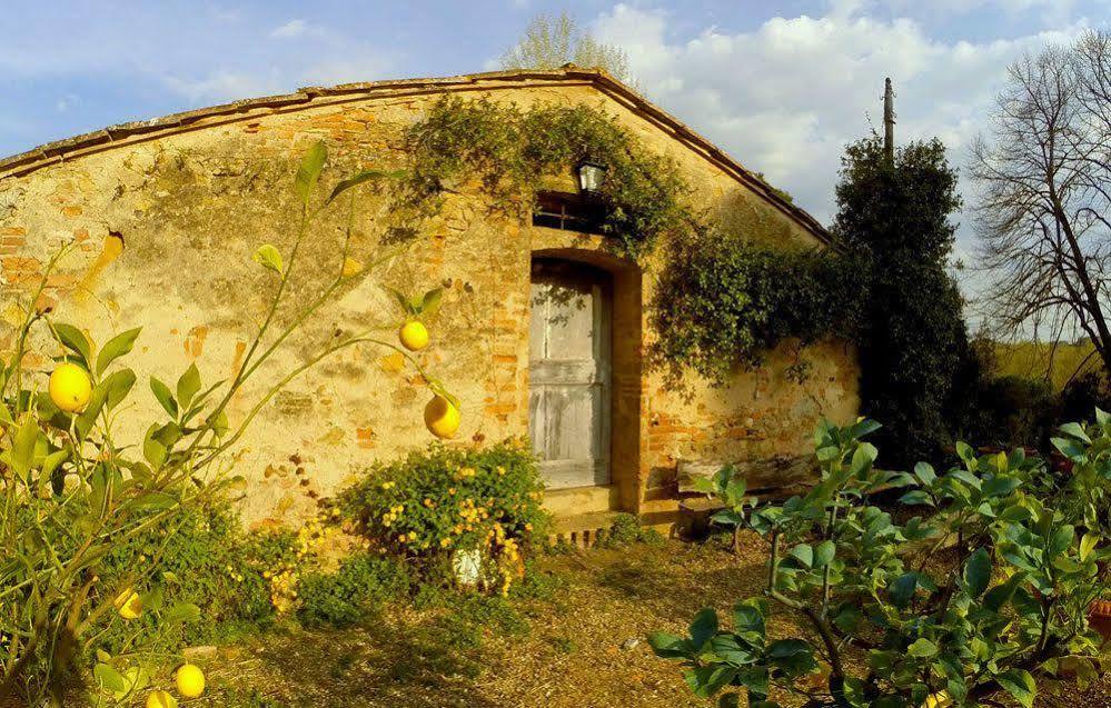 Bassetto Guesthouse & Apartments Черталдо Екстериор снимка